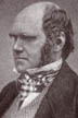 Charles Darwin