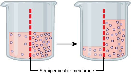 Diagram

Description automatically generated