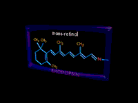rodopsin.gif