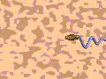 spermani.gif