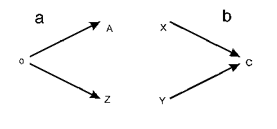 Figure 2: Common embryonic stages